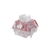 TTC Rabbit RGB Edition Mechanical Switches