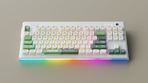 [In Stock] Lio87 TKL 80% Pre-Built Mechanical Keyboard