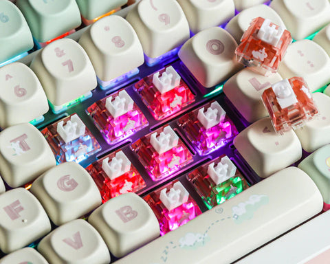TTC Rabbit RGB Edition Mechanical Switches