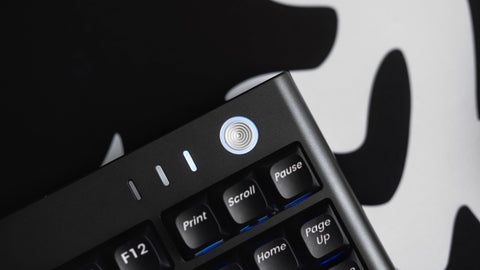 [In Stock] Lio87 TKL 80% Pre-Built Mechanical Keyboard