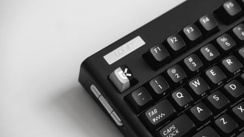 [In Stock] Lio87 TKL 80% Pre-Built Mechanical Keyboard