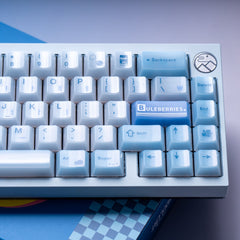 BlueBerry Theme Glossy Keycap Set