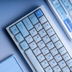 BlueBerry Theme Glossy Keycap Set