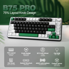 YUNZII B75 PRO Wireless Gaming Keyboard - 75% Compact Design with RGB, Hot-Swappable Mechanical Switches, Ergonomic Gasket Mount, and Multi-Connectivity (Wireless/Type-C/2.4G) - Black