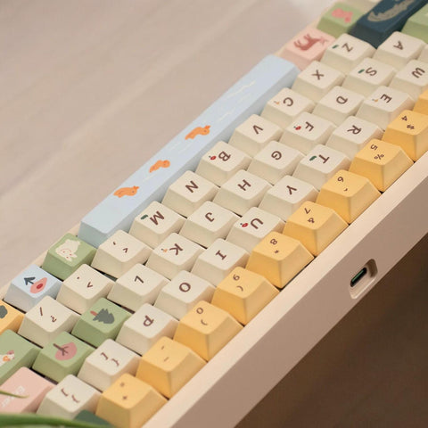 Spring Ranch Keycaps | Cherry Profile Keycap Set | PBT Material | Keycaps For MX Switch | GMk Clone Artisan Keycap Set