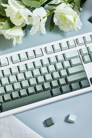 Cute Green Gradient Backlit PBT OEM Keycap Set