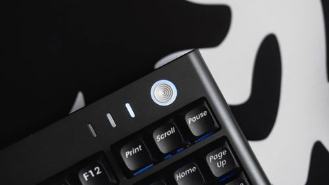 Lio87 TKL 80% Pre - Built Mechanical Keyboard - Tri - Mode - KeyArtisan