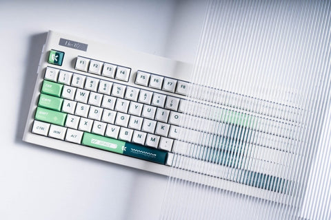 Lio87 TKL 80% Pre - Built Mechanical Keyboard - Tri - Mode - KeyArtisan