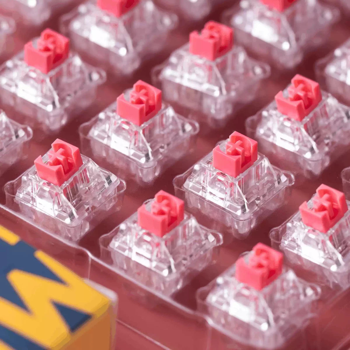 Lychee – Silent Linear 42g Switch by SOULCAT x SPM | 35pcs - KeyArtisan