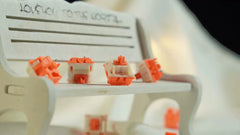 Orange Cat Linear Switch – Smooth Typing & Gaming Feel - KeyArtisan