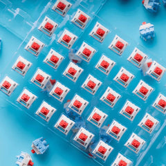 Soulcat Keygeek Soda Linear Switch - KeyArtisan